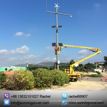 300W Mini Wind Turbine, Wind Solar CCTV System (MINI-300W 12V)